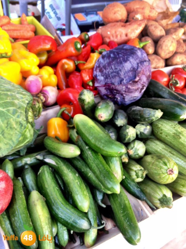 sookelmina2u5 (7).jpg